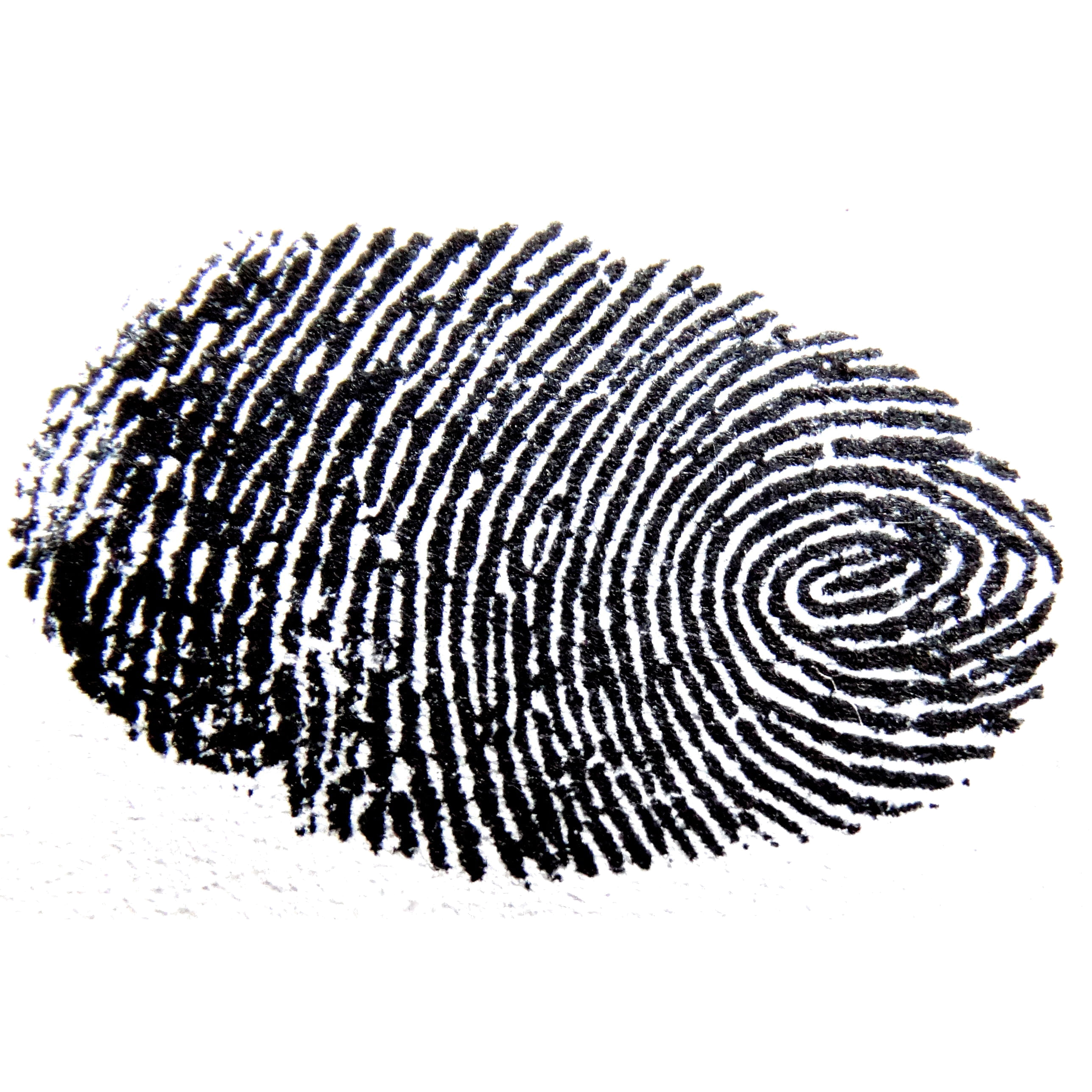 Free online security